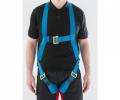 WERNER 1 PT FALL ARREST HARNESS 79205
